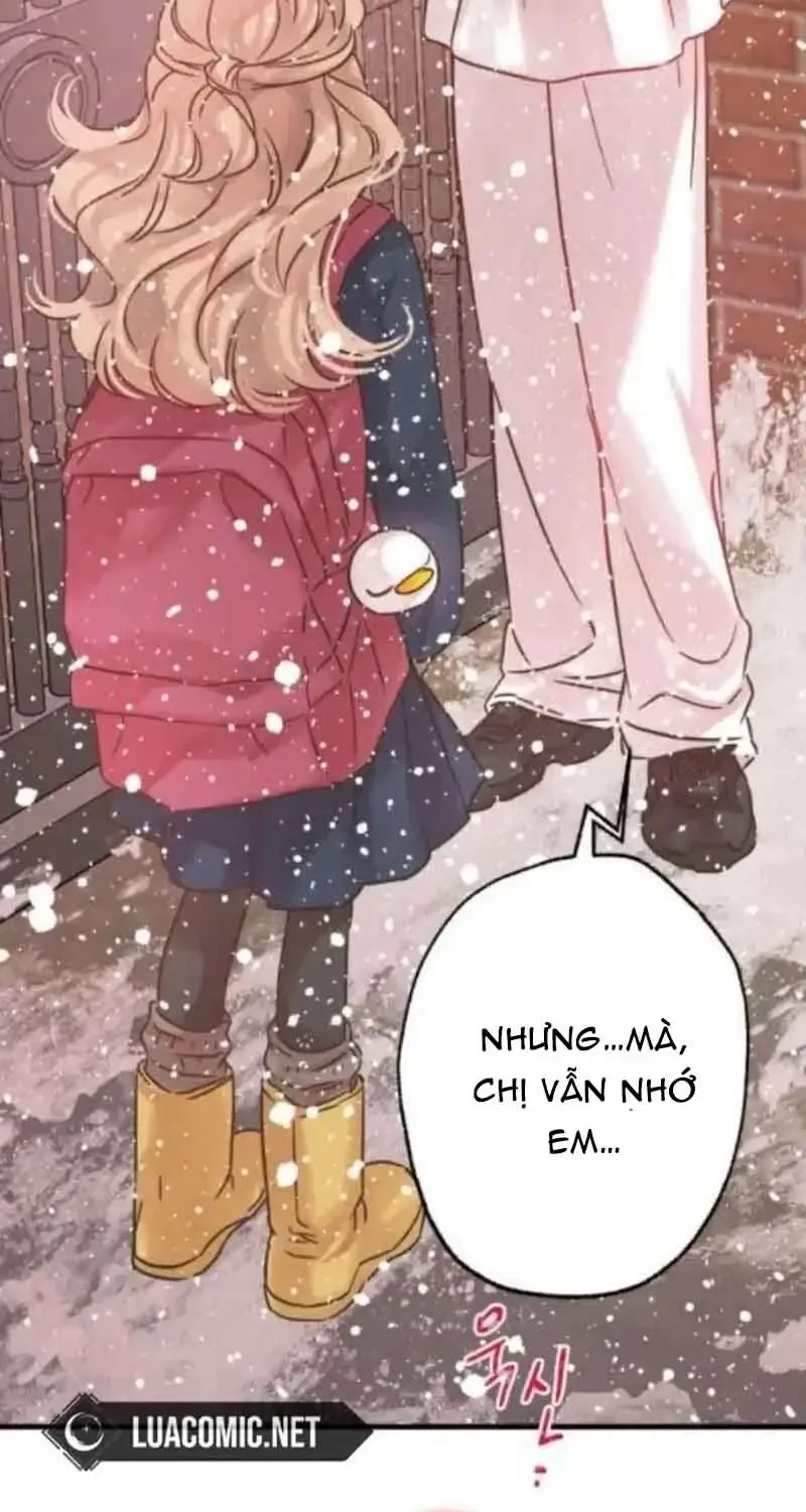 Chapter 7