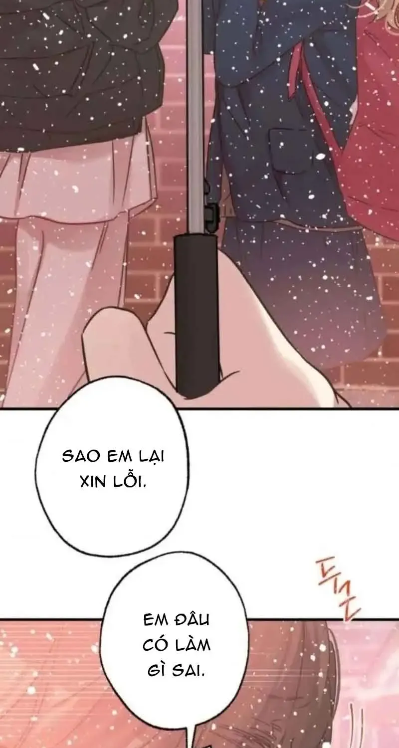 Chapter 7