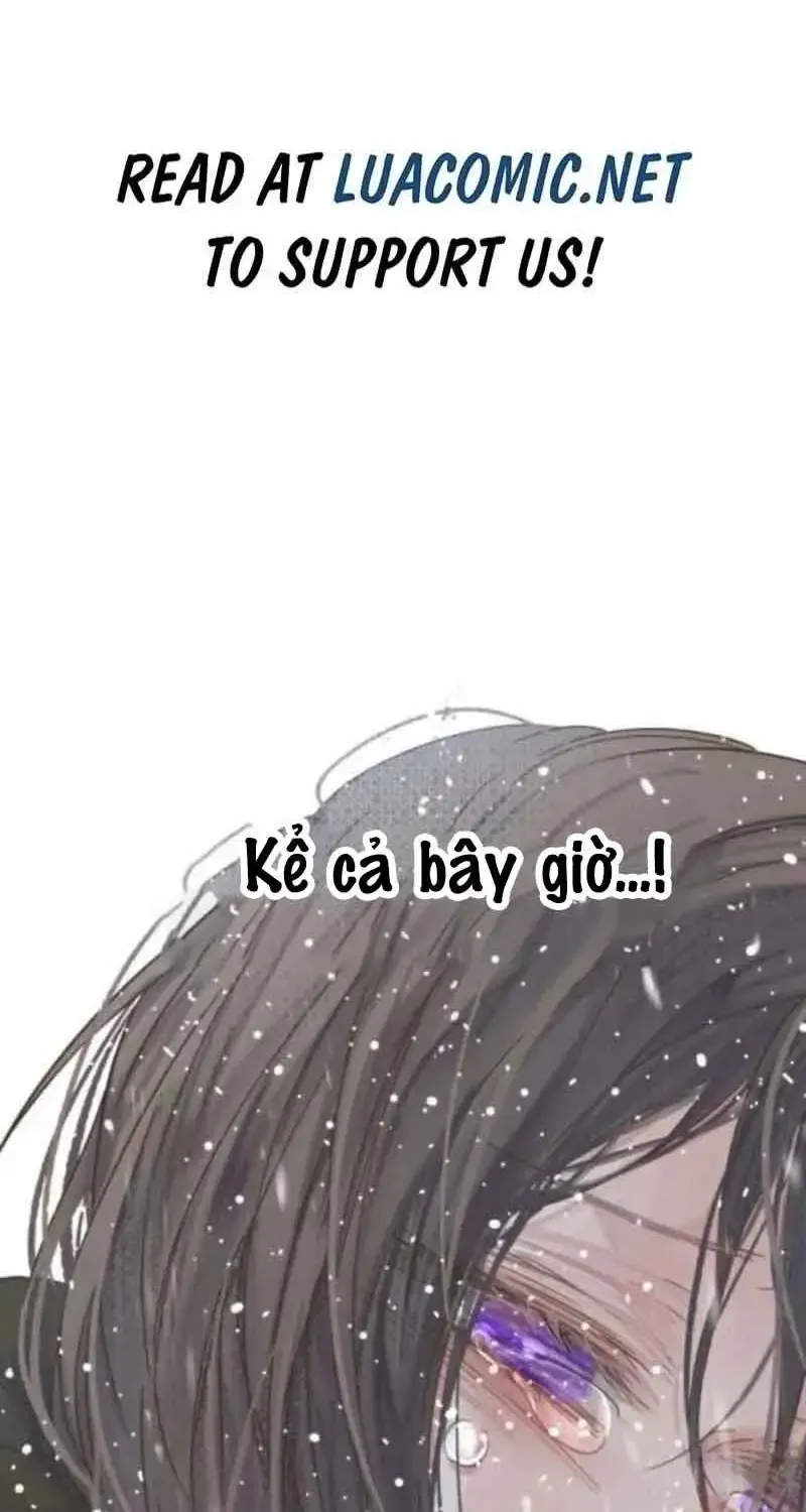 Chapter 7