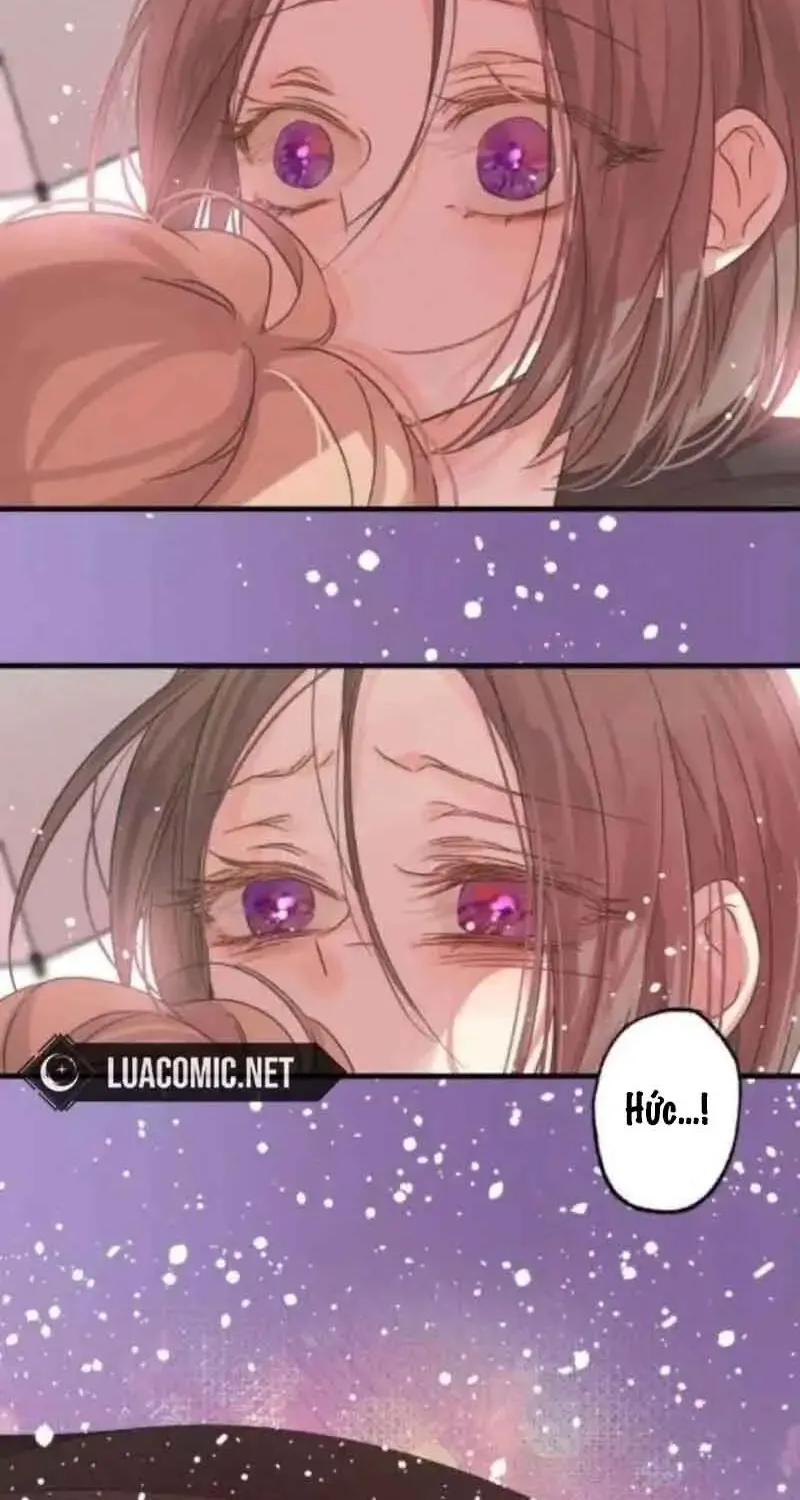 Chapter 7
