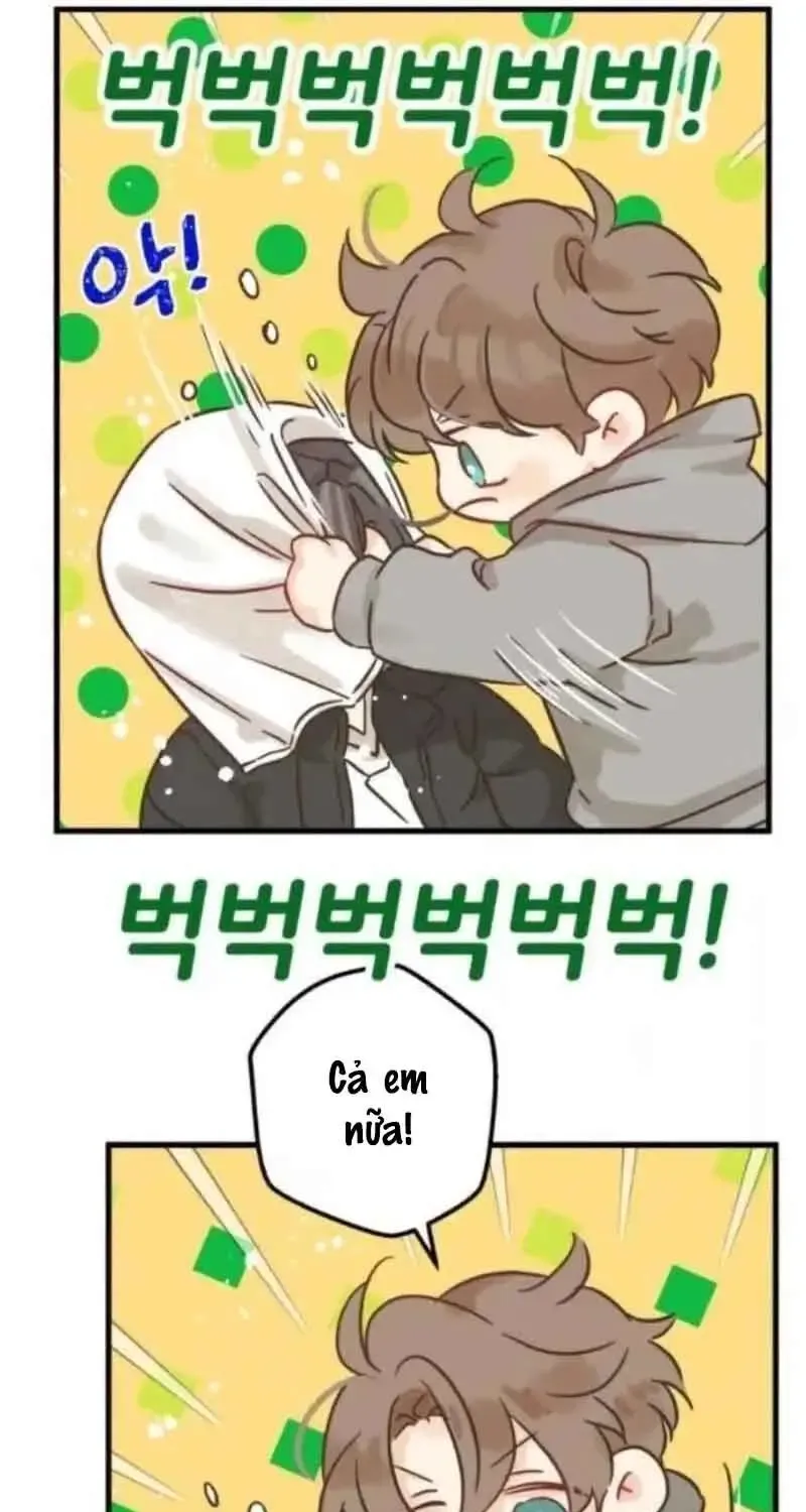 Chapter 7