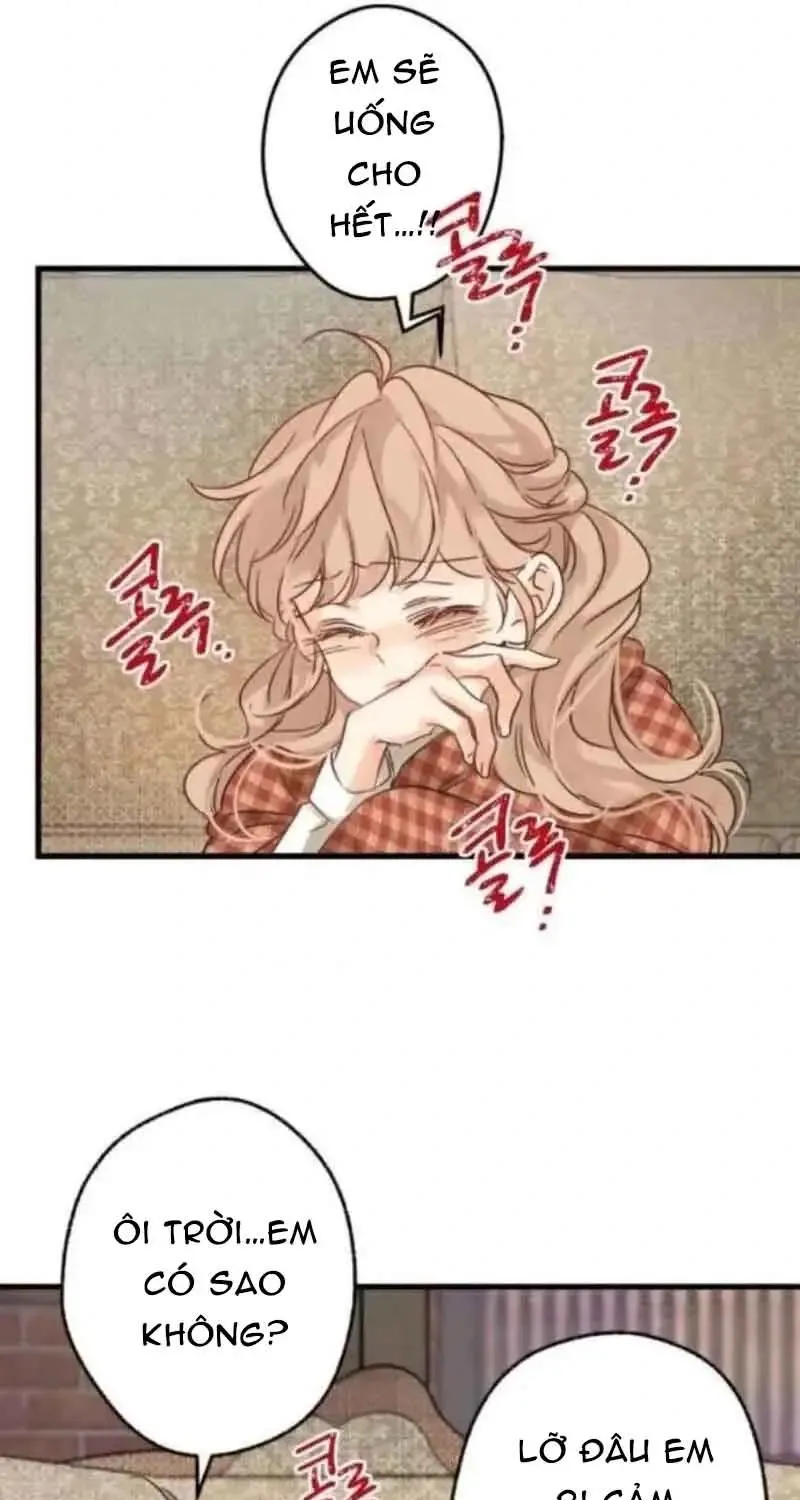 Chapter 7