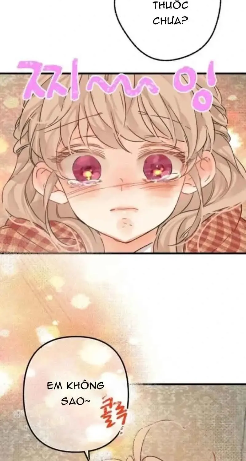 Chapter 7