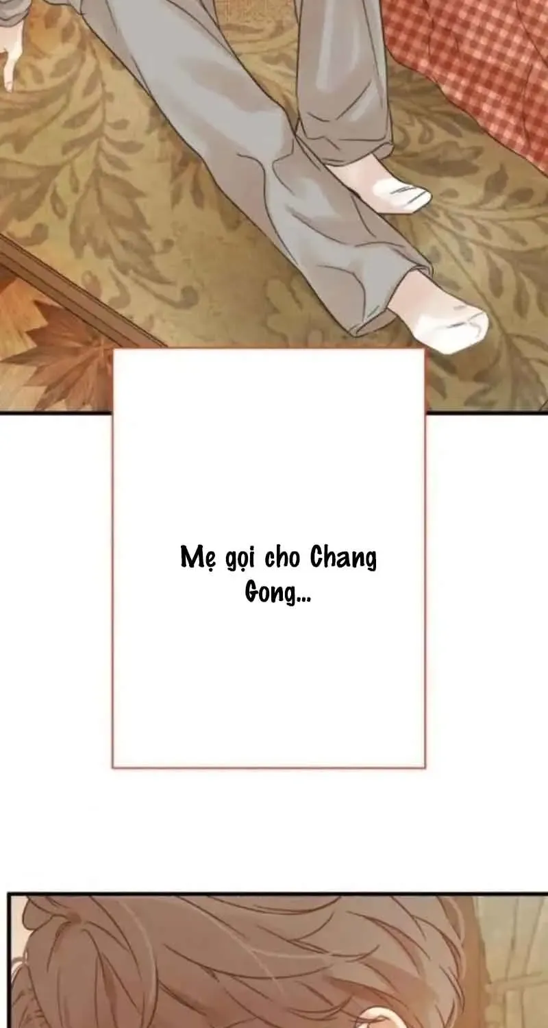 Chapter 7