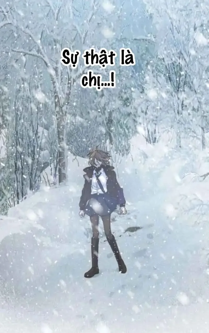 Chapter 7