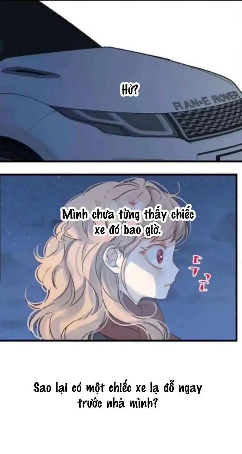 Chapter 7