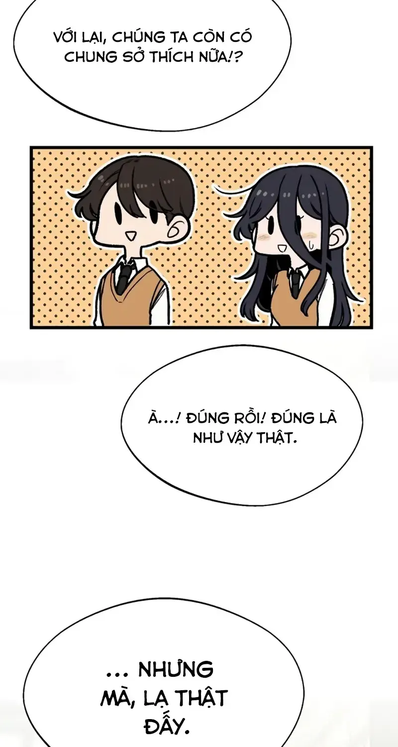 Chapter 11