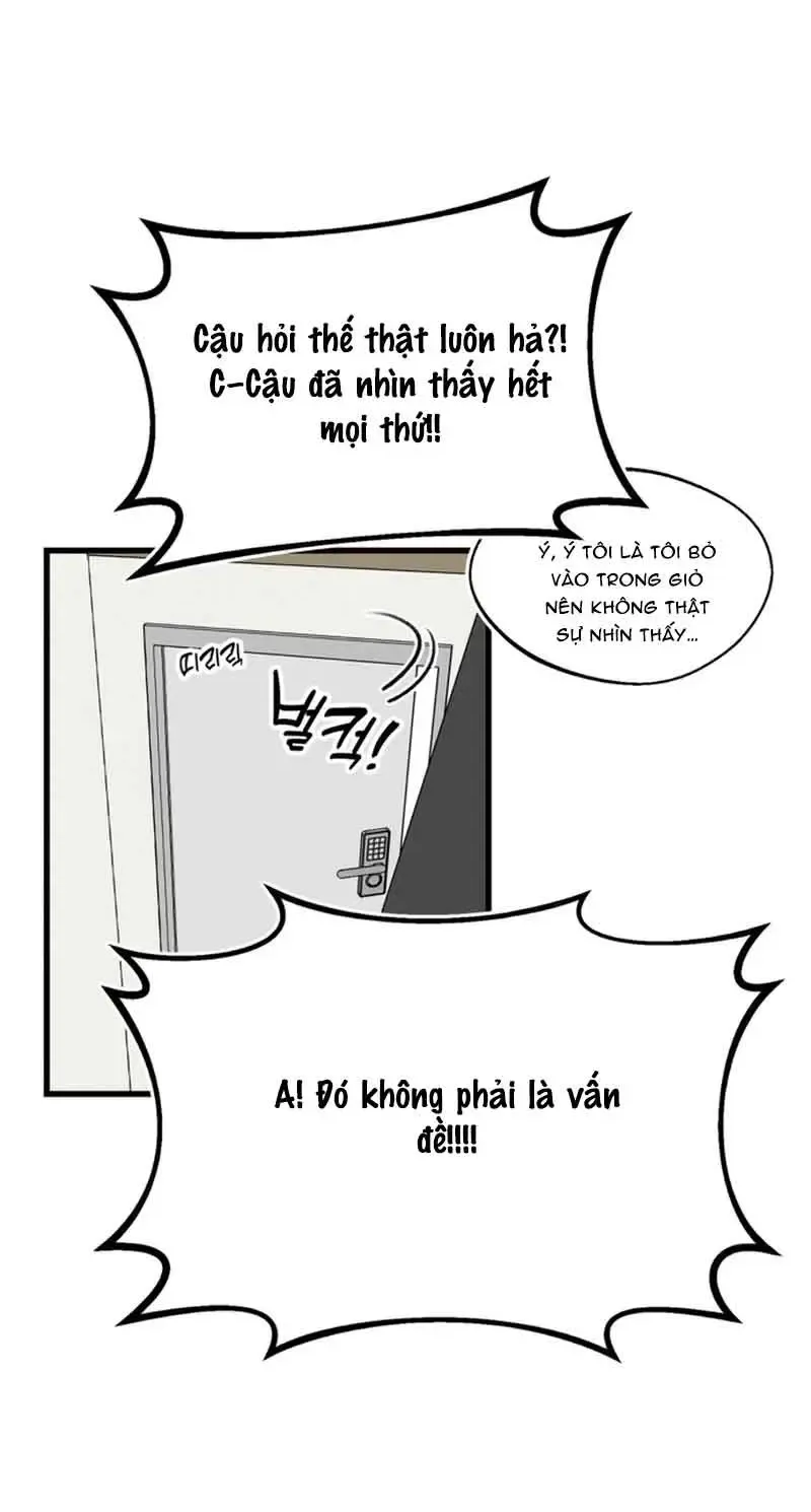 Chapter 6
