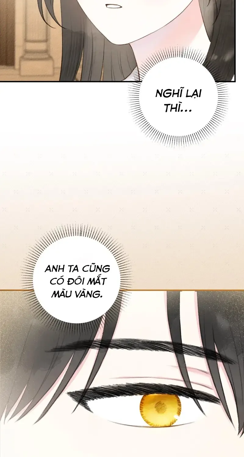 Chapter 3