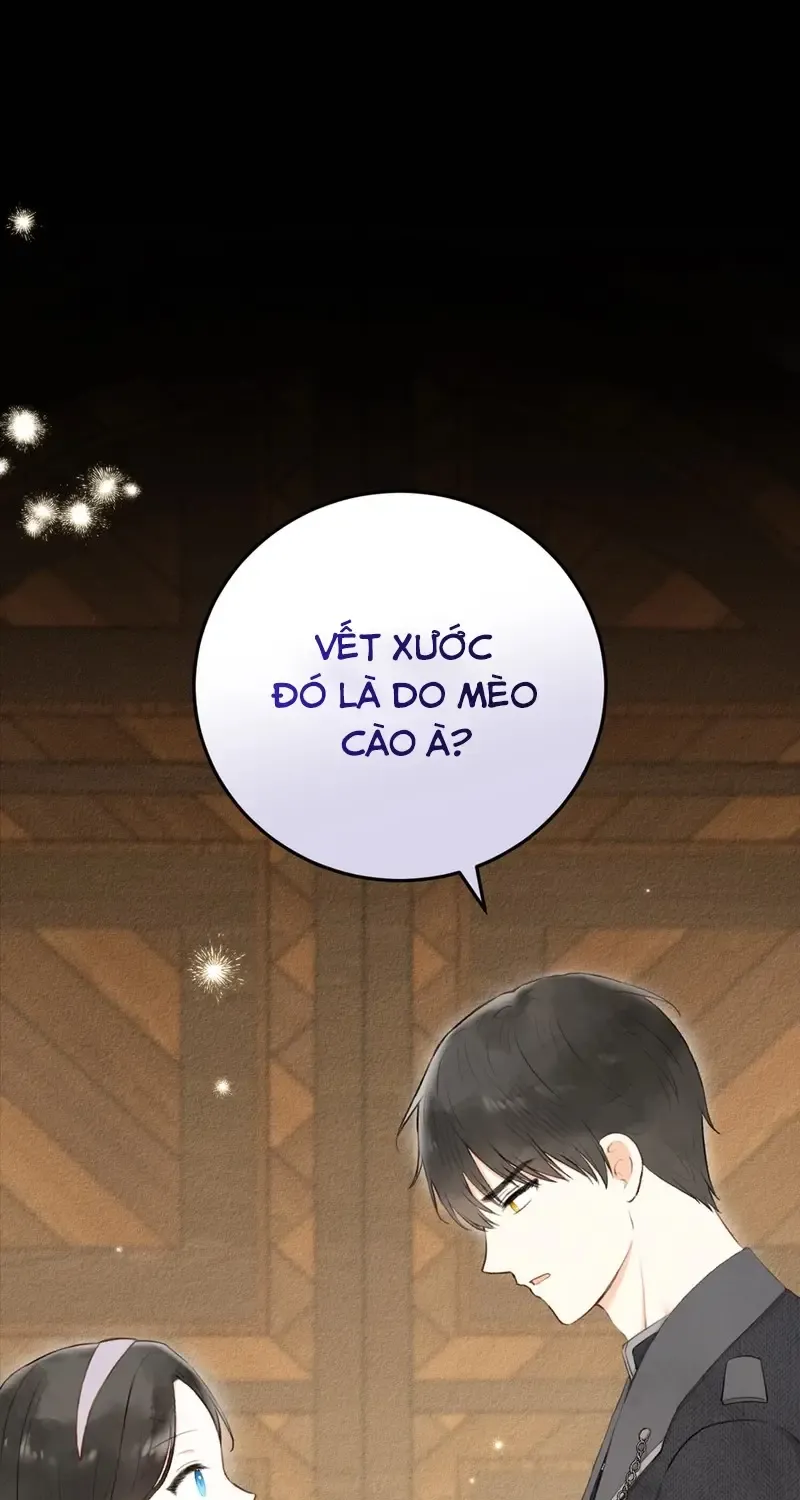 Chapter 3