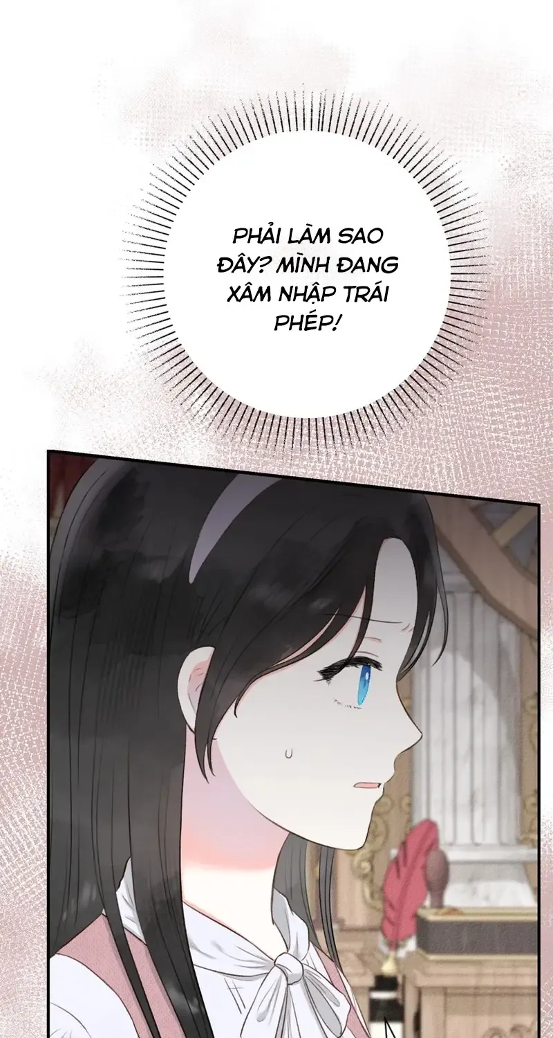 Chapter 3
