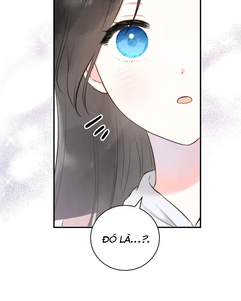 Chapter 3
