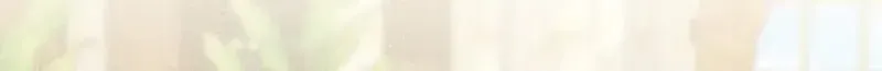 Chapter 4