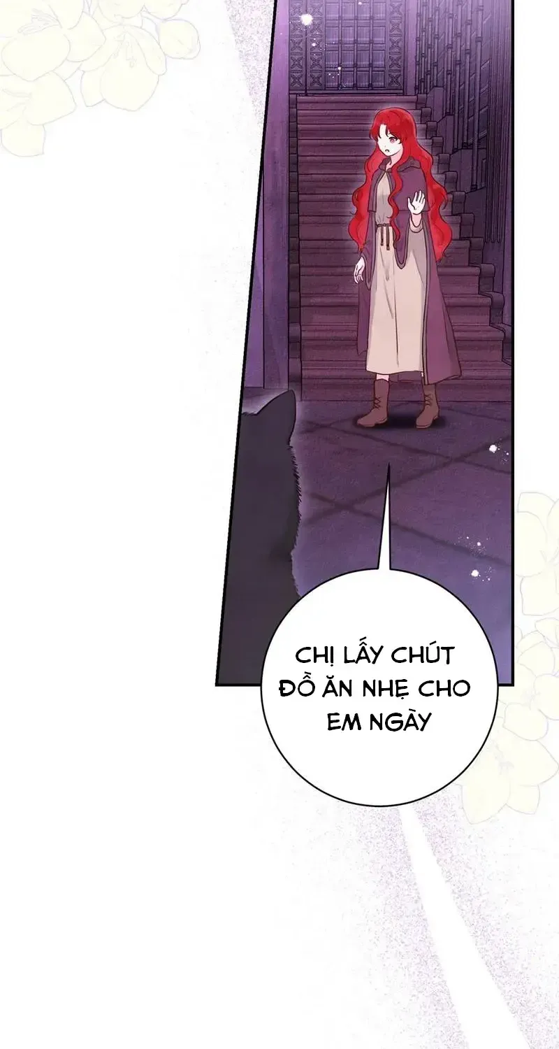 Chapter 5