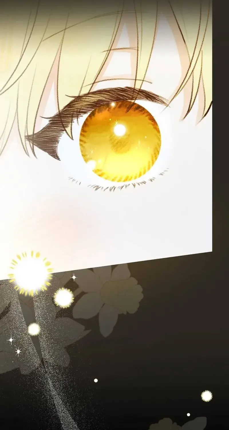 Chapter 5