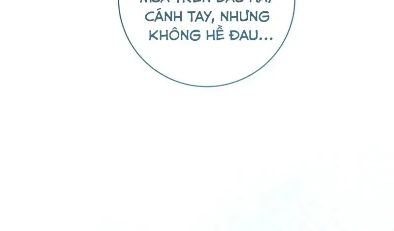 Chapter 7
