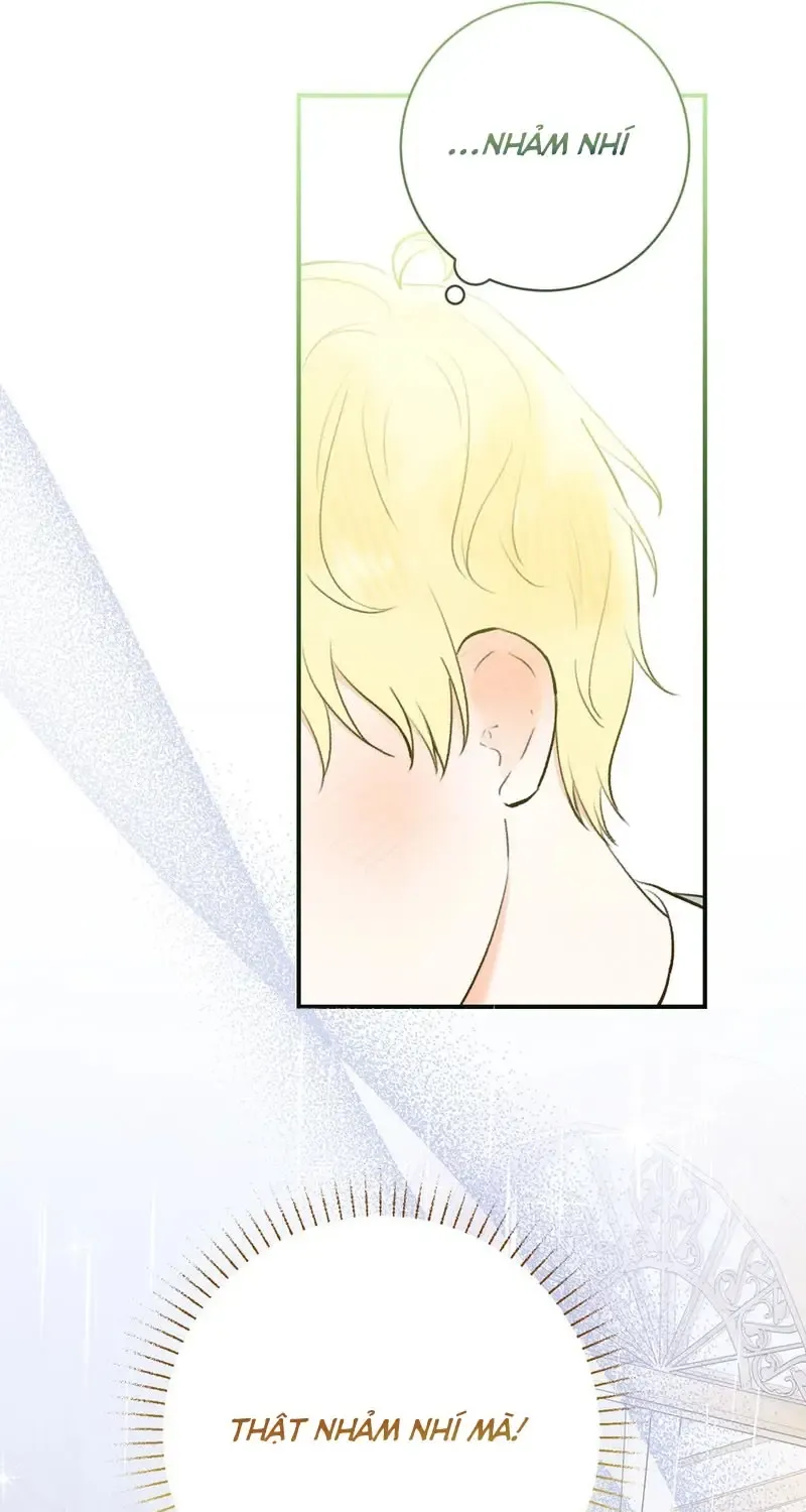 Chapter 7