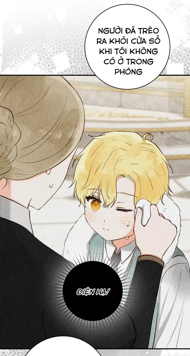 Chapter 7