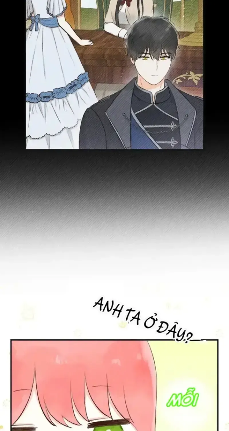Chapter 8