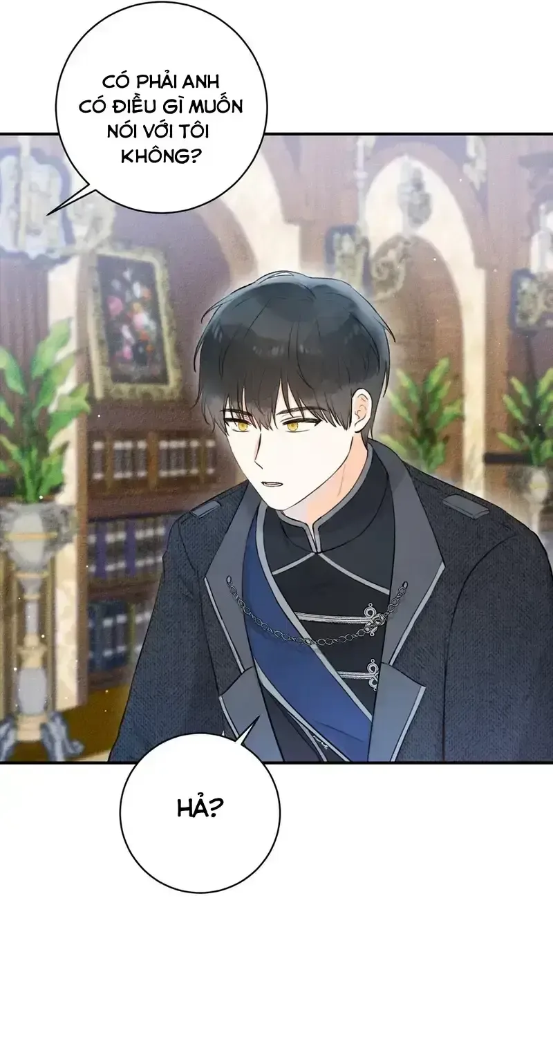 Chapter 8