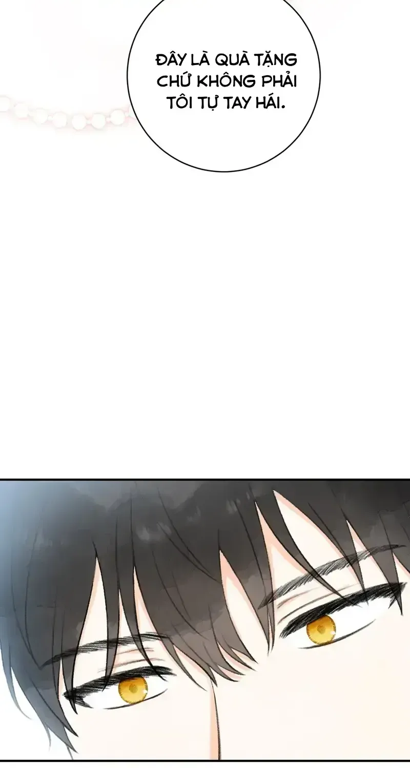 Chapter 8