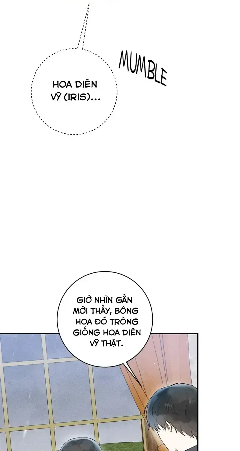 Chapter 8