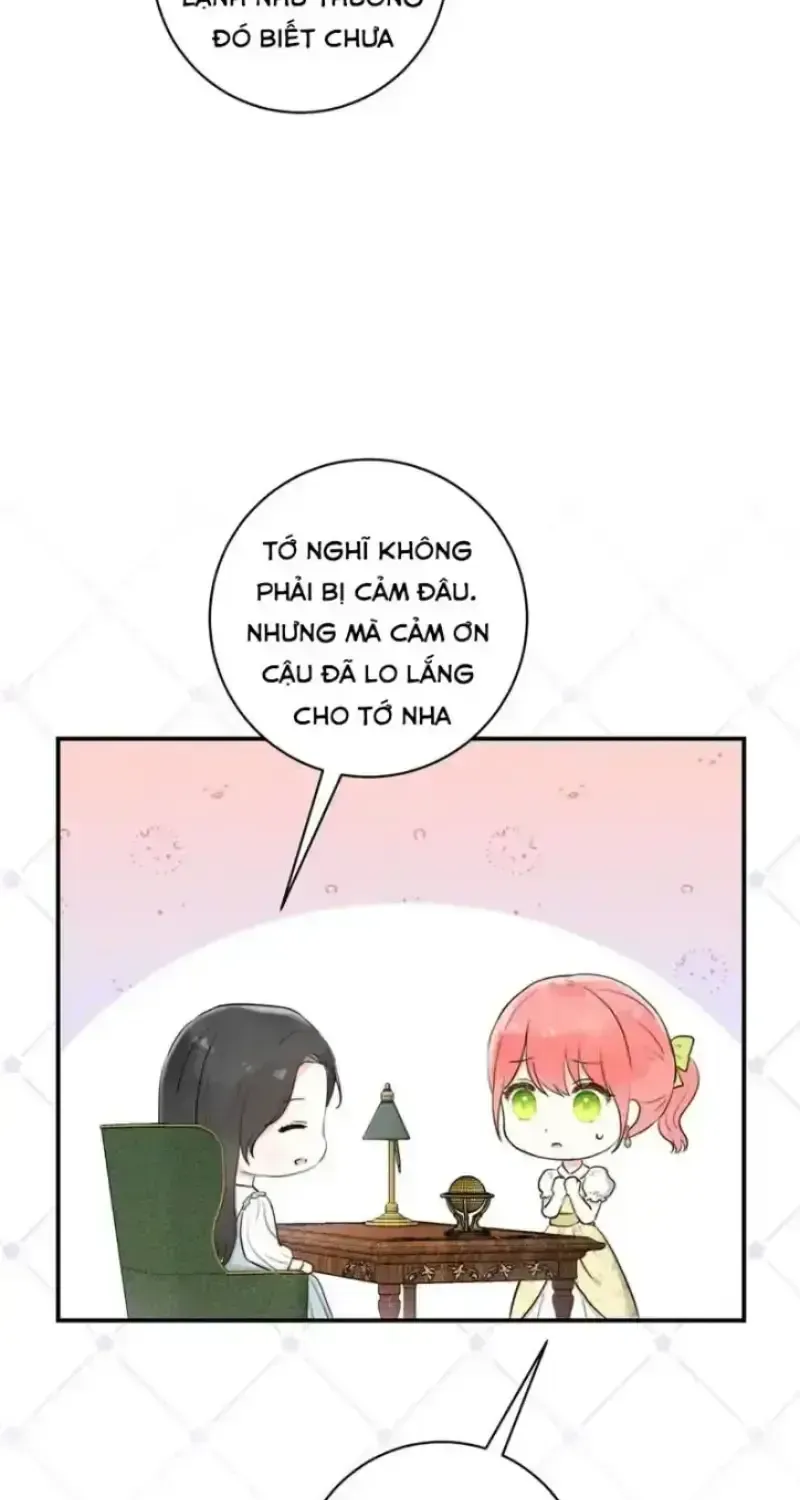 Chapter 8