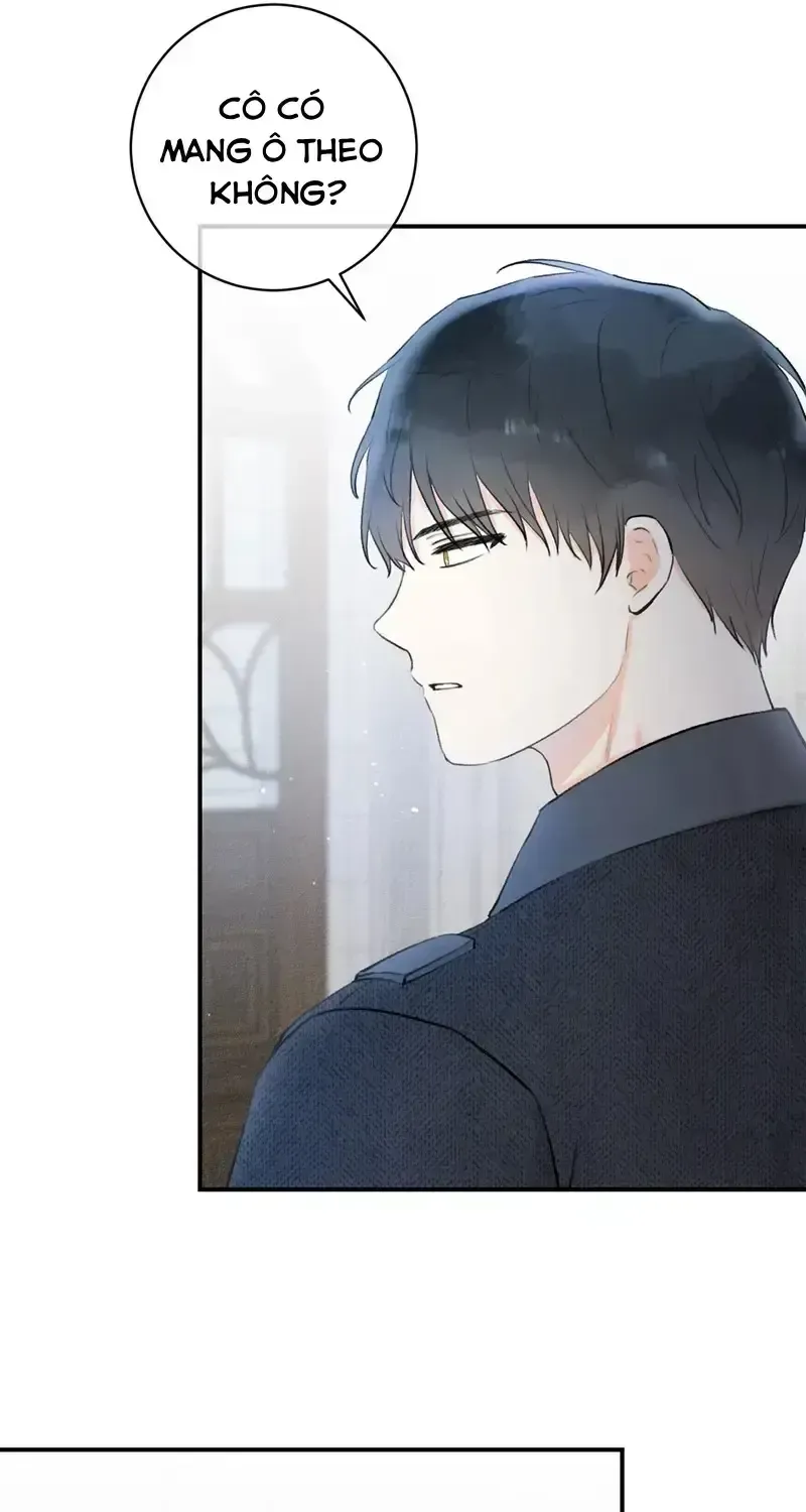 Chapter 8