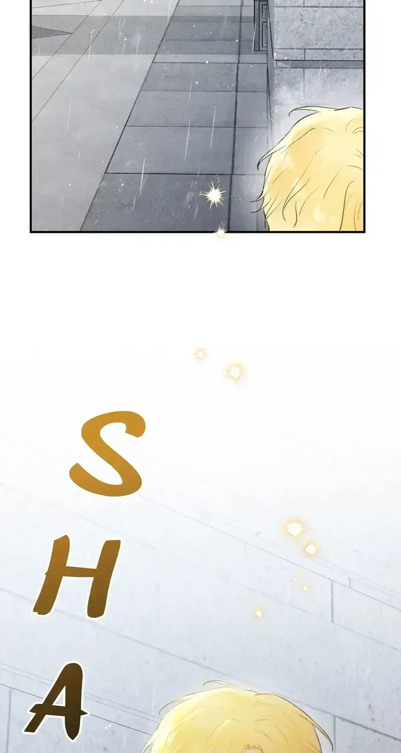 Chapter 8