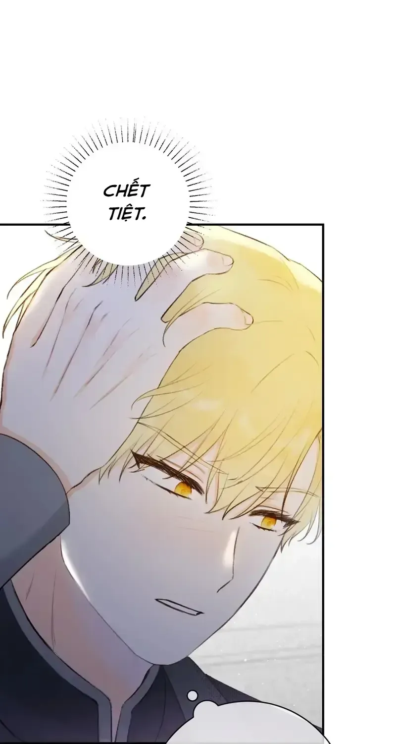 Chapter 8