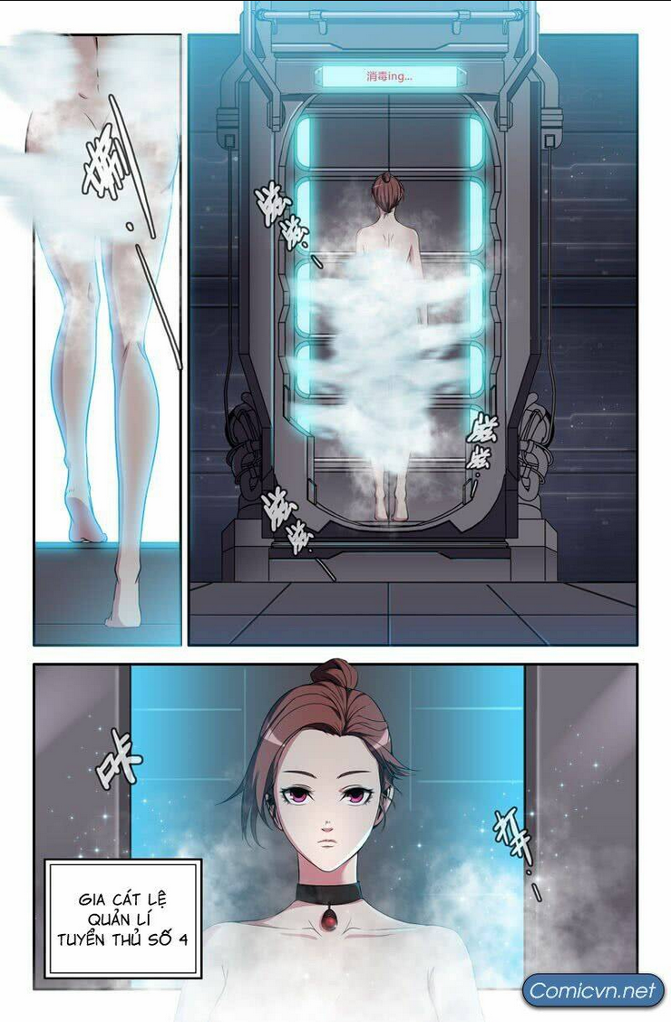 Chapter 19