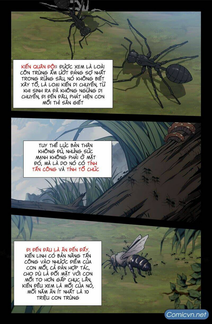 Chapter 28