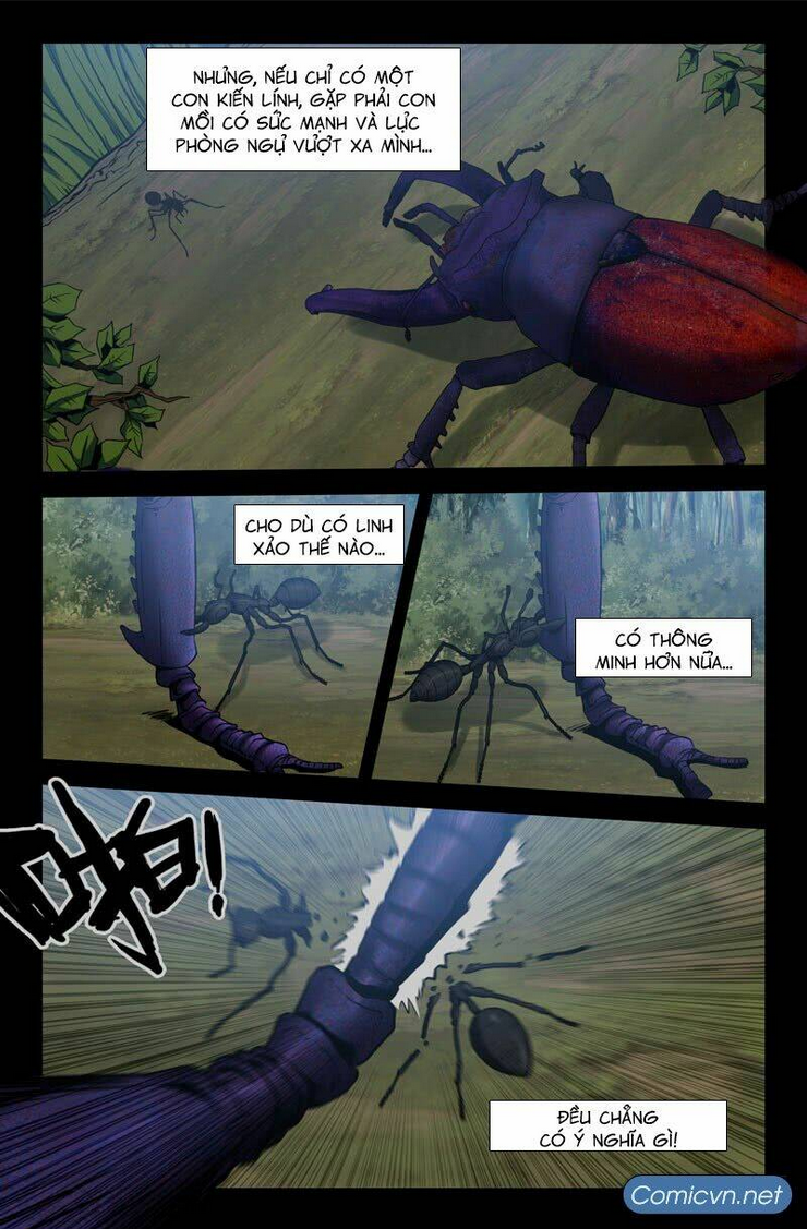 Chapter 28