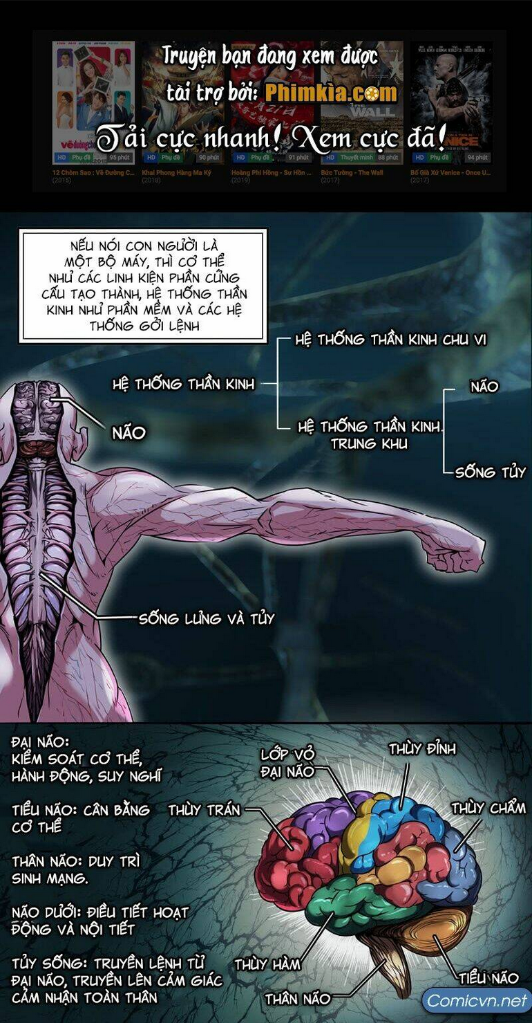 Chapter 43