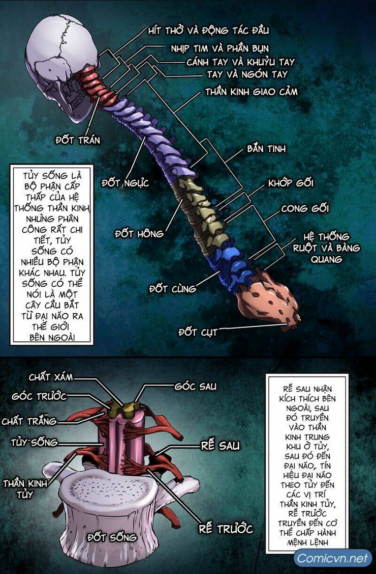 Chapter 43