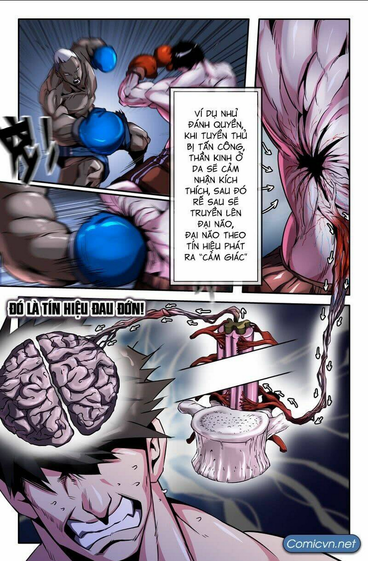 Chapter 43