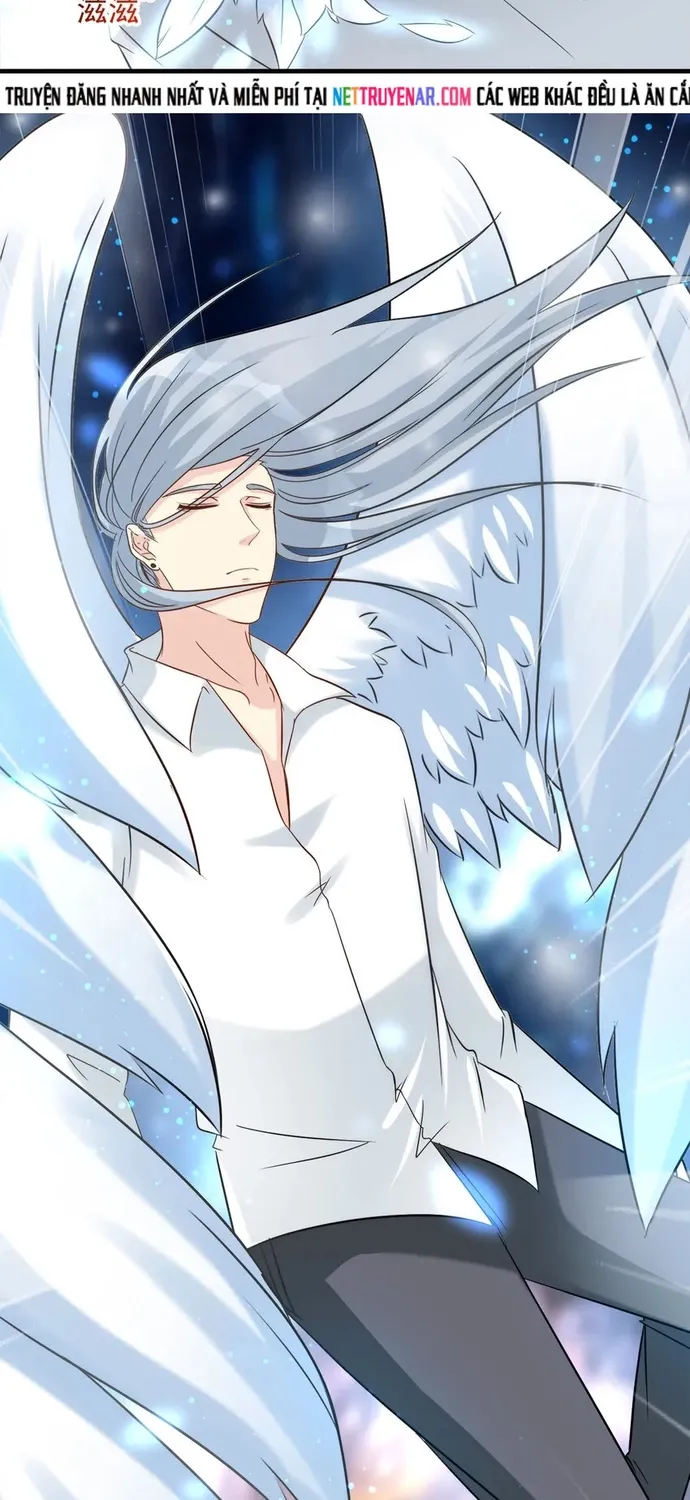 Chapter 102