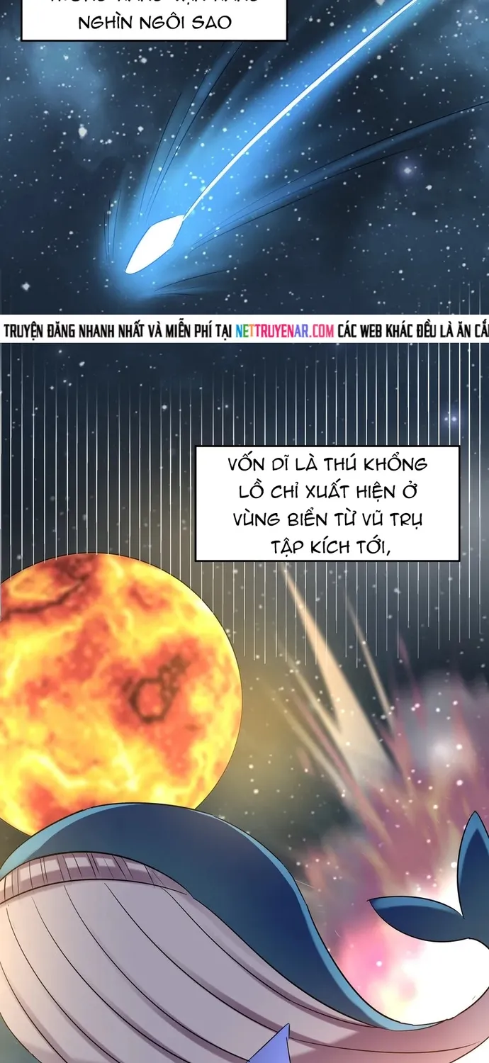 Chapter 103
