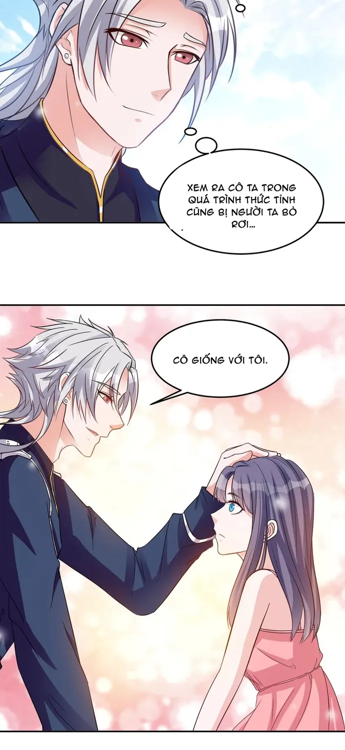 Chapter 104