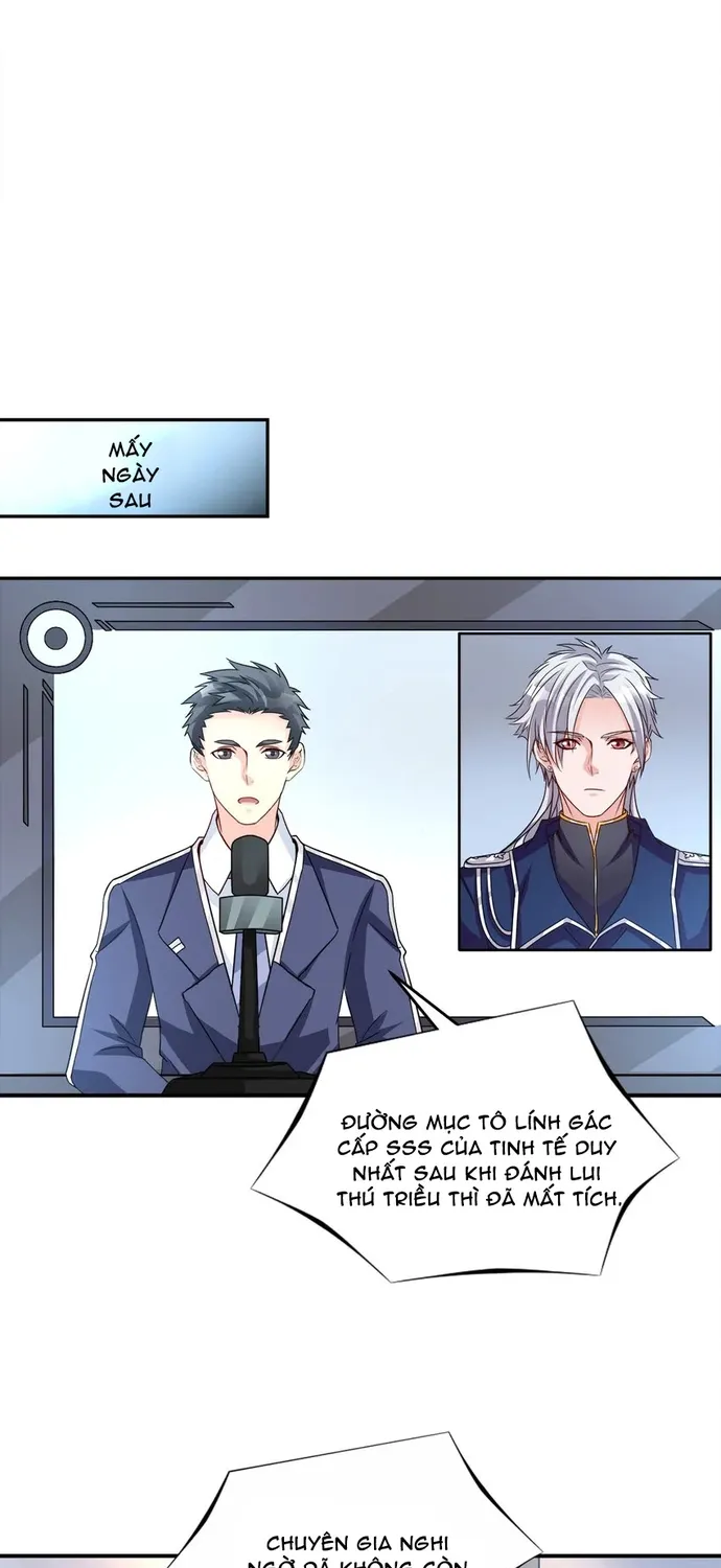Chapter 104