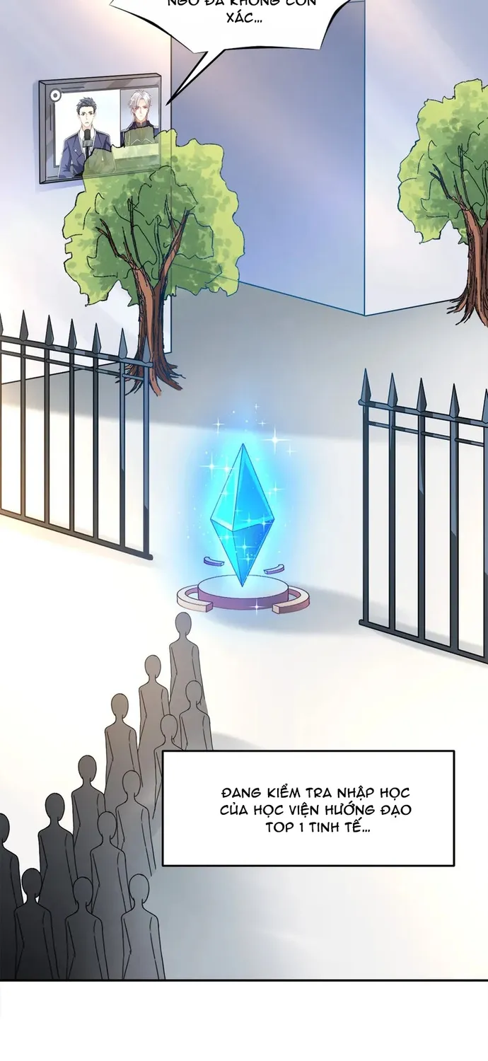 Chapter 104
