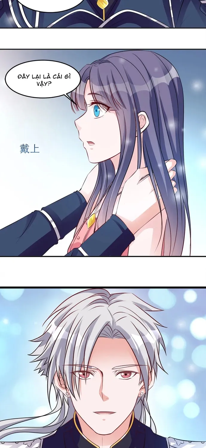 Chapter 104