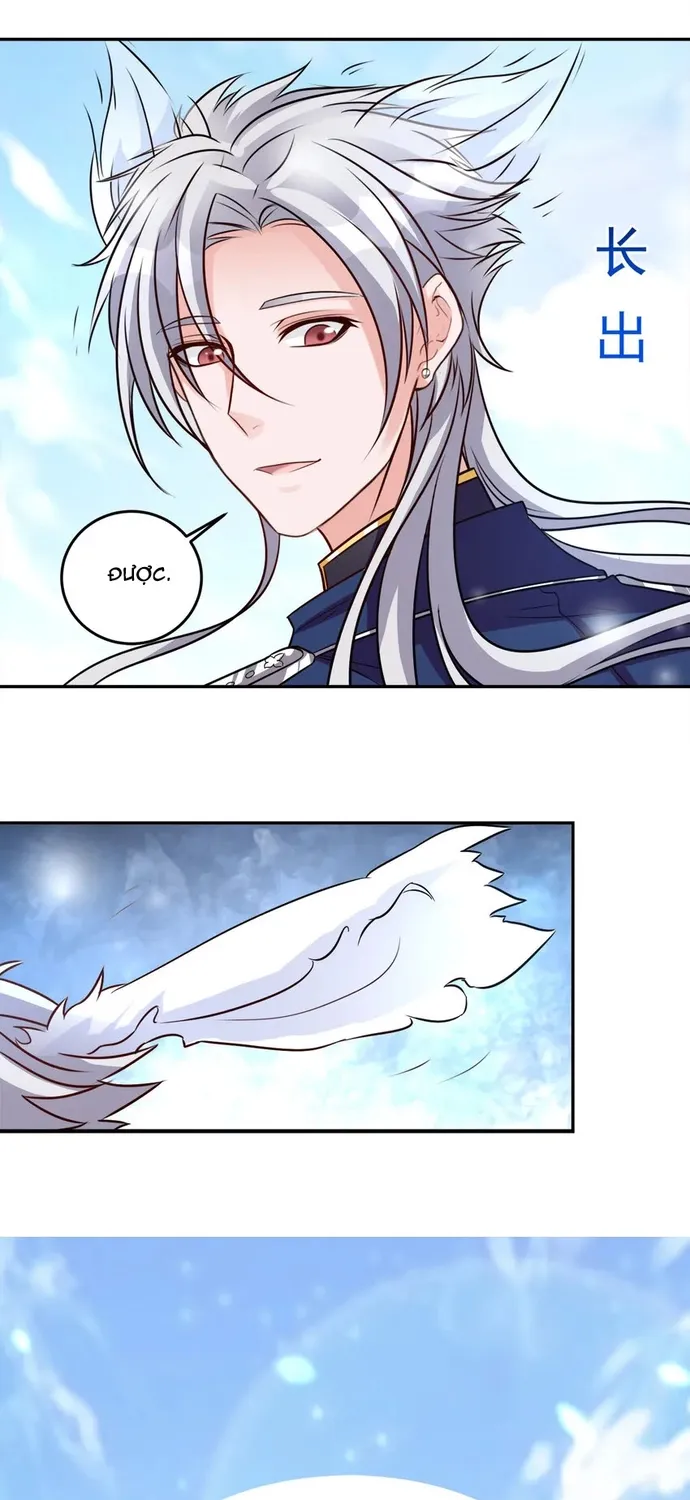 Chapter 104