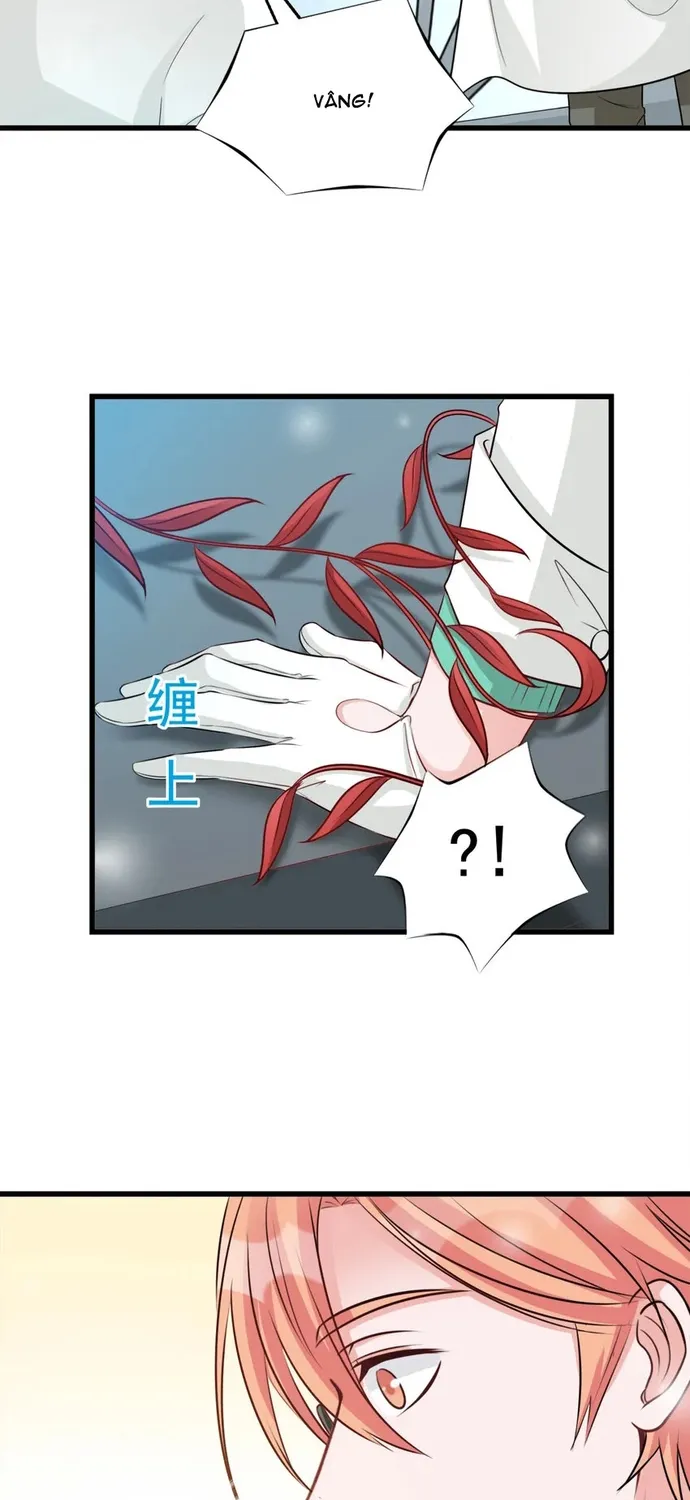 Chapter 106