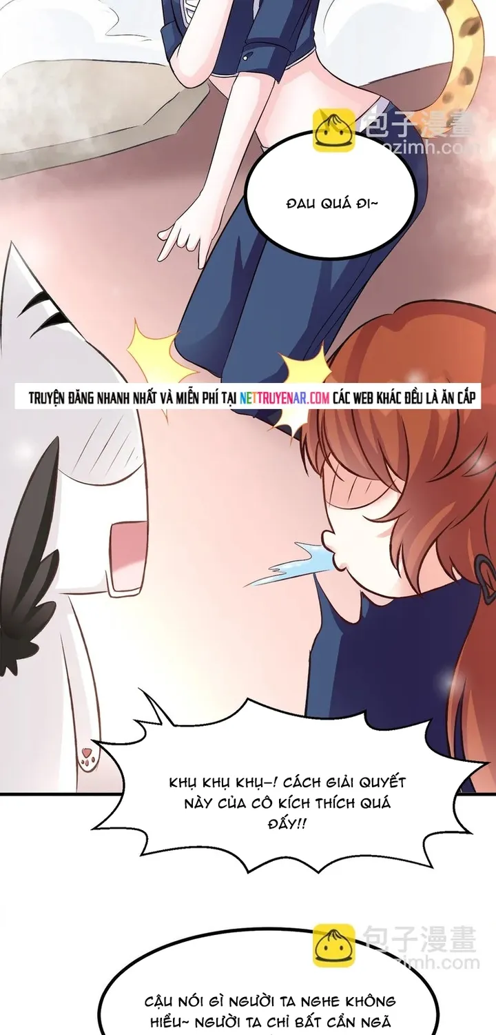 Chapter 111