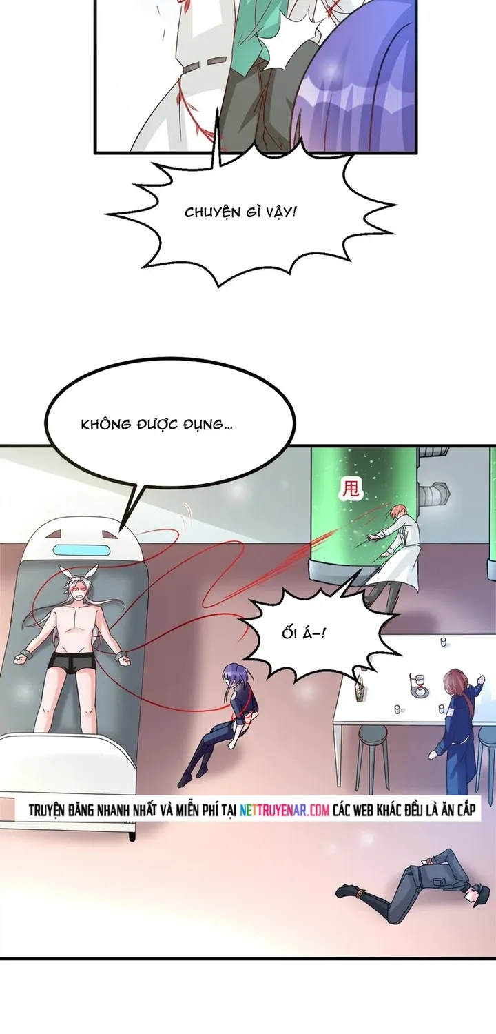 Chapter 111