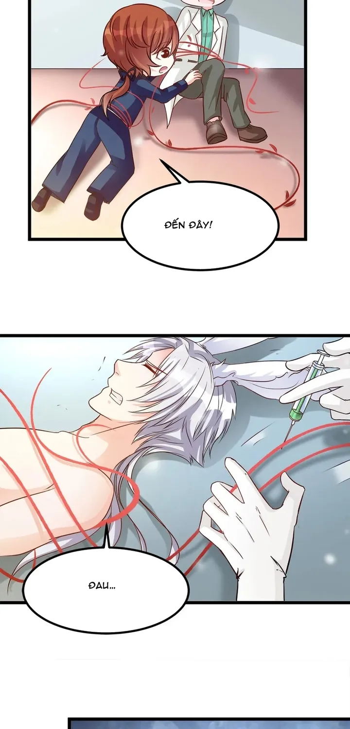 Chapter 112