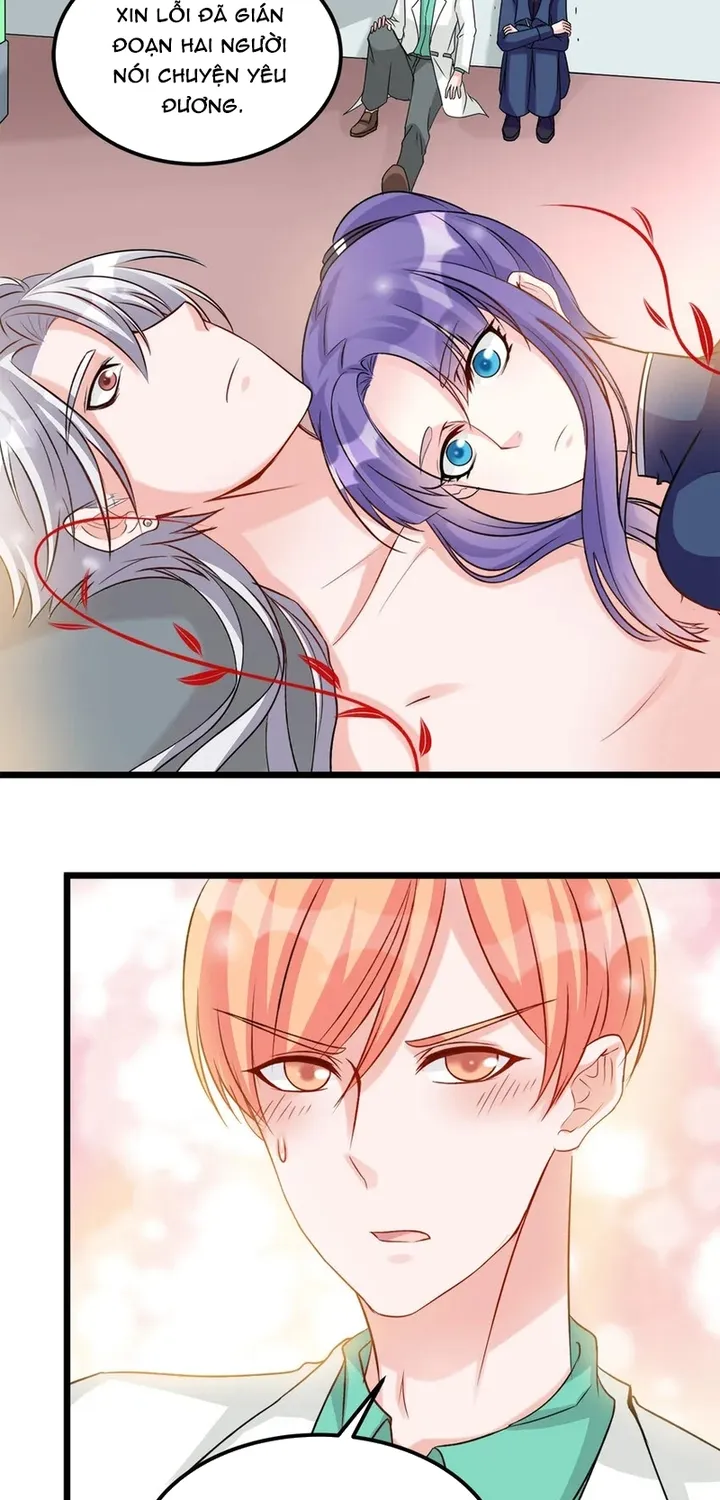 Chapter 113