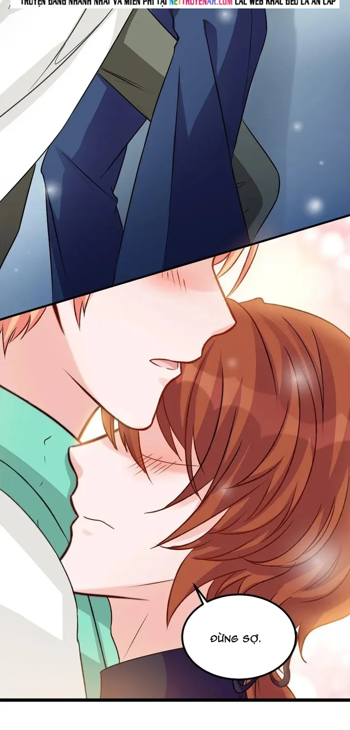 Chapter 113