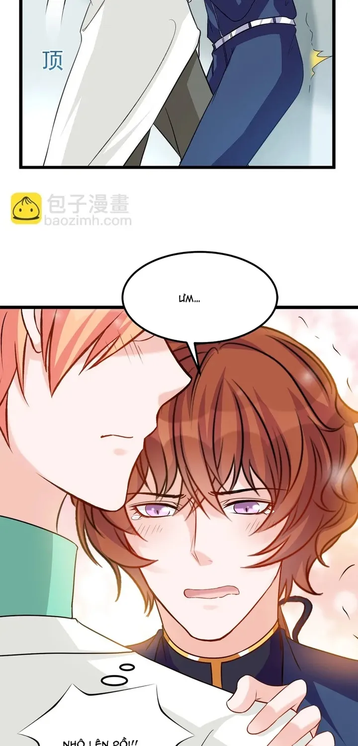 Chapter 113
